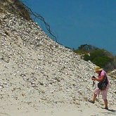 4 meter shell midden